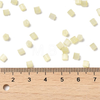 Glass Seed Beads SEED-H002-D-A802-1