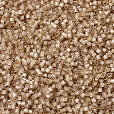 MIYUKI Delica Beads X-SEED-J020-DB2177-1