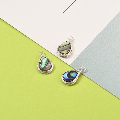 Natural Abalone Shell/Paua Shell Pendants X-PALLOY-JF00477-02-1