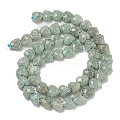 Natural Amazonite Beads Strands G-P544-E09-01-1