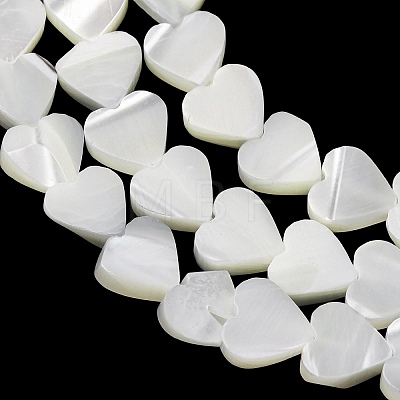 Natural Trochid Shell/Trochus Shell Beads Strands SH-CBA2978-19B-1