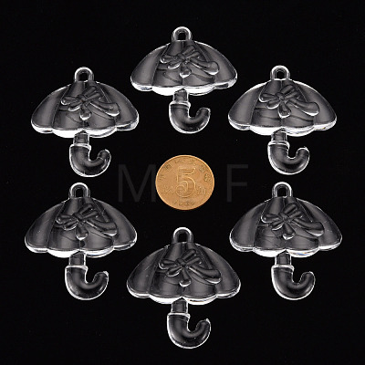 Transparent Acrylic Pendants TACR-T024-01B-205-1
