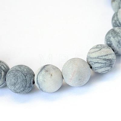 Frosted Natural Black Silk Stone/Netstone Round Bead Strands G-E334-10mm-25-1