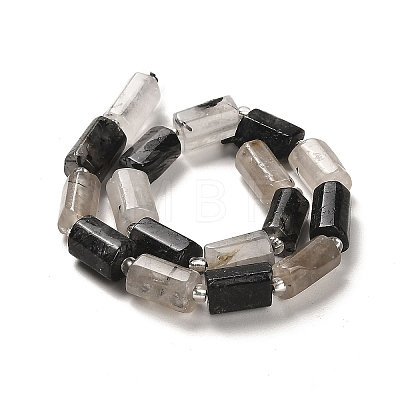 Natural Black Rutilated Quartz Beads Strands G-N327-06-30-1