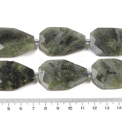 Natural Labradorite Beads Strands G-P548-B14-01-1