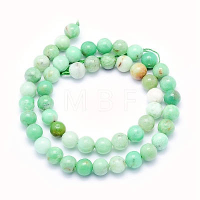 Natural Chrysoprase Beads Strands G-O166-03-10mm-1