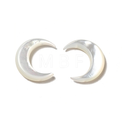 Natural White Shell Connector Charms BSHE-E026-04-1