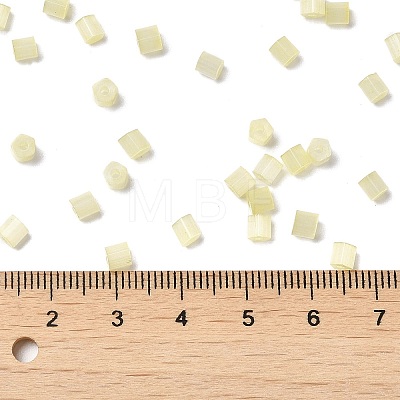 Glass Seed Beads X1-SEED-H002-D-A802-1