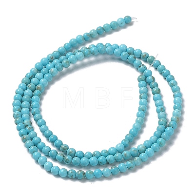 Natural Howlite Beads Strands G-E604-B04-A-1