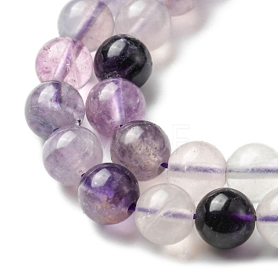 Natural Fluorite Beads Strands G-E598-02B-1