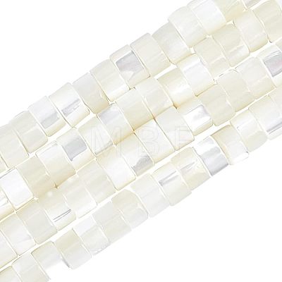  Natural Trochid Shell/Trochus Shell Beads Strands PEAR-NB0001-13-1