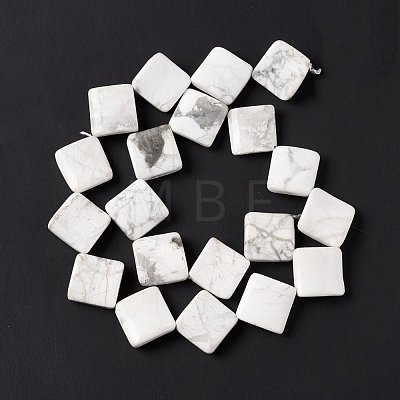 Natural Howlite Beads Strands G-L239-14-1