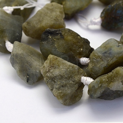 Natural Labradorite Beads Strands G-G697-E08-1