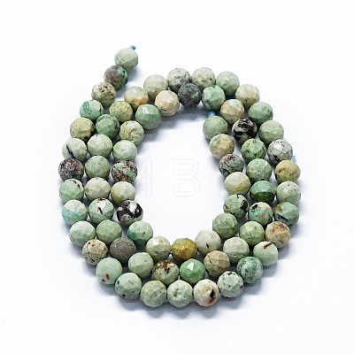 Natural Peruvian Turquoise(Jasper) Beads Strands G-G927-40-1