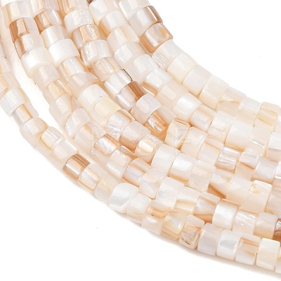 Natural Freshwater Shell Beads Strands SHEL-K006-72A-1