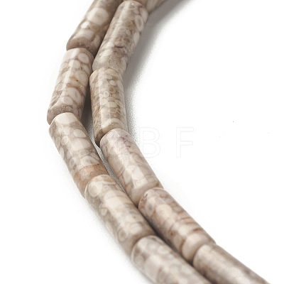 Natural Maifanite/Maifan Stone Beads Strands G-F735-01-1