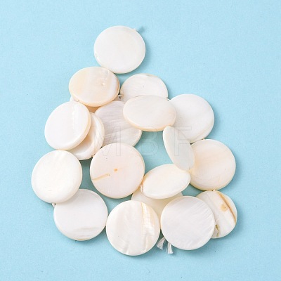 Natural Freshwater Shell Beads X-S00C20W3-1