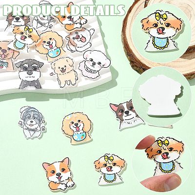 20Pcs 10 Styles Acrylic Cabochons SACR-CJ0001-87-1