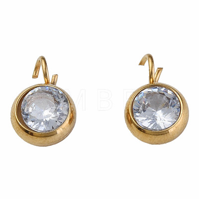 201 Stainless Steel Clear Cubic Zirconia Charms STAS-N087-47G-1