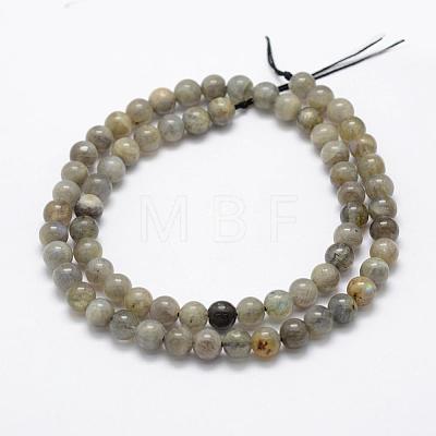 Natural Labradorite Beads Strands G-P322-33-4mm-1