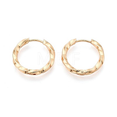304 Stainless Steel Hoop Earrings STAS-T074-50G-1