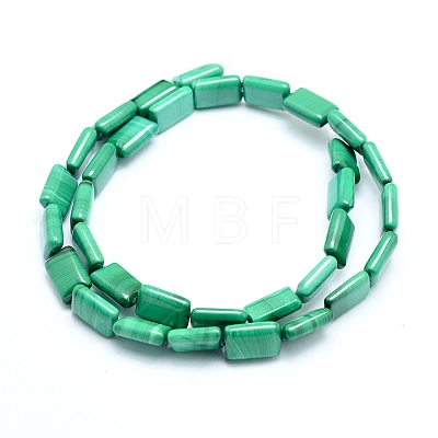 Natural Malachite Beads Strands G-D0011-03-8x12mm-1