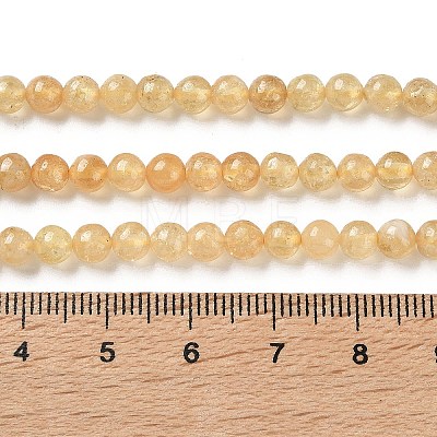 Natural Yellow Garnet Beads Strands G-Z129-C01-5mm-02-1