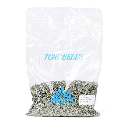 TOHO Round Seed Beads SEED-TR08-0721-1