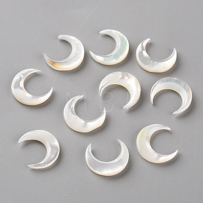 Natural White Shell Beads SSHEL-Q311-004B-01-1