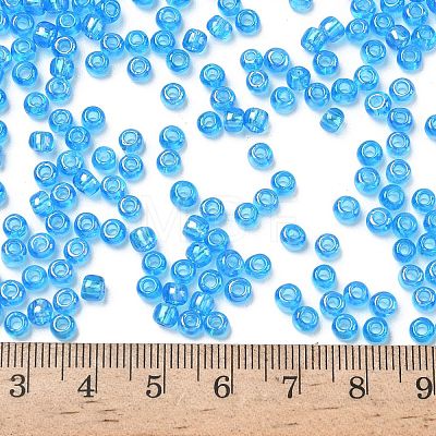 TOHO 6/0 Round Beads X-SEED-TR06-0163B-1