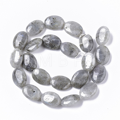 Natural Labradorite Beads Strands X-G-S359-001B-1