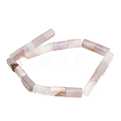 Natural Agate Beads Strands GG-L001-H01-02F-1
