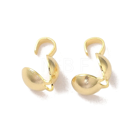 Brass Bead Tips FIND-Z039-06G-1