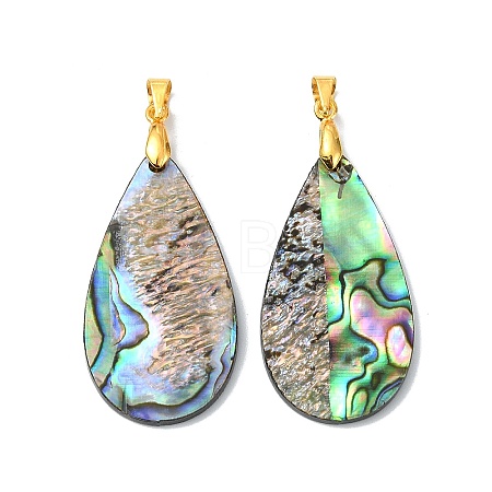 Natural Paua Shell/Abalone Shell Pendants PALLOY-JF05570-1