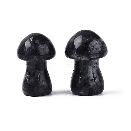 Natural Larvikite Mushroom Display Decorations G-Q602-03B-1