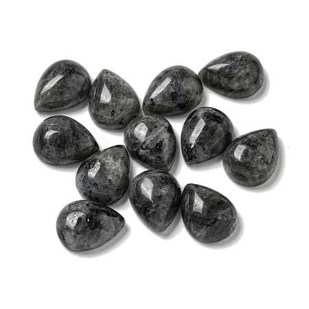 Natural Larvikite Cabochons G-Q173-02C-05-1