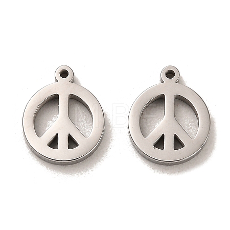 Non-Tarnish 304 Stainless Steel Charms LS-STAS-L022-137P-1