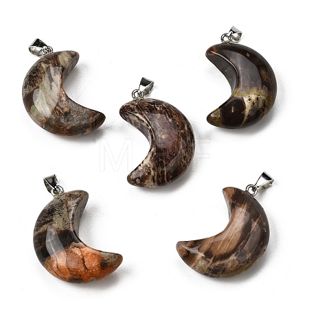Natural Rhyolite Jasper Pendants G-F820-02A-1