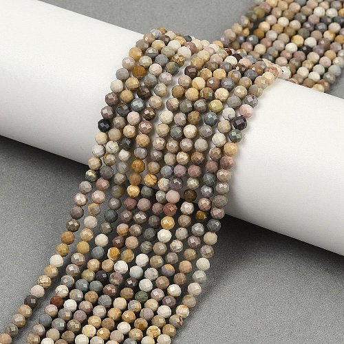 Natural Alashan Agate Beads Strands G-C181-B05-02-1