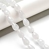 Natural Quartz Crystal Beads Strands G-B106-A28-02-2