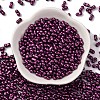 Baking Paint Glass Seed Beads SEED-L011-12A-13-2