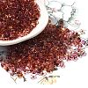 Transparent Baking Paint Glass Seed Beads SEED-A033-06A-05-1