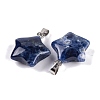 Natural Sodalite Pendants G-Q172-09P-08-2