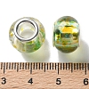 Transparent Two-Color Brass Cores Acrylic European Beads OACR-M024-05S-04-3