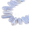 Natural Blue Lace Agate Beads Strands G-H006-B01-02-3