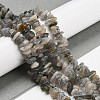 Natural Labradorite Beads Strands G-P332-23-6