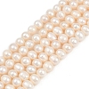 Natural Cultured Freshwater Pearl Beads Strands PEAR-I007-07X-13A-2