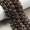Natural Smoky Quartz Beads Strands G-B167-A09-4mm-1