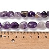 Natural Chevron Amethyst Beads Strands G-P497-01E-84-5