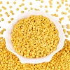 FGB Baking Paint Glass Seed Beads SEED-Q040-09A-09-2